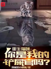 ����è�䣺�����ҵĲ�ʺ����