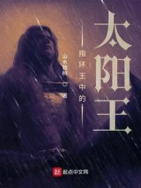 ָ�����е�̫����