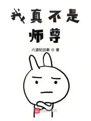 ���治��ʦ��