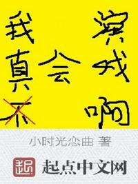 ���治����Ϸ��