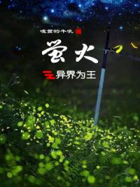 ���Ĺ��Ż�������˾����