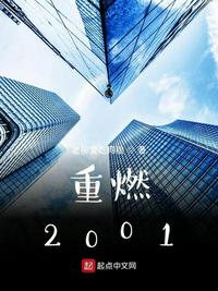 ��ȼ2001