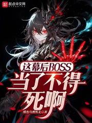��Ļ��BOSS���˲�������