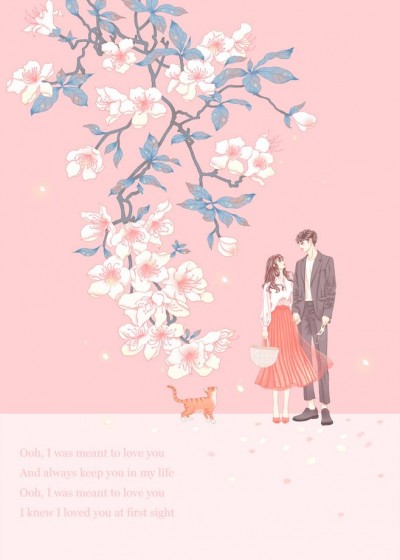 ������ҹ����