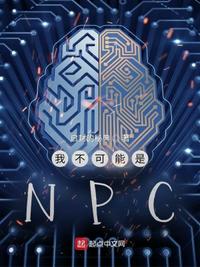 �Ҳ�������NPC