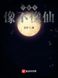 �㿴��������