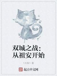 ˫��֮ս�����氲��ʼ